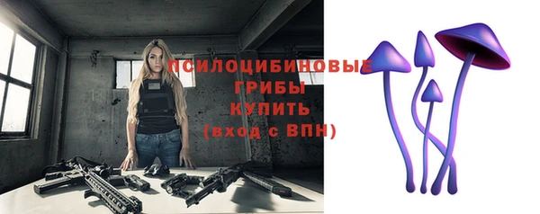 ECSTASY Алзамай