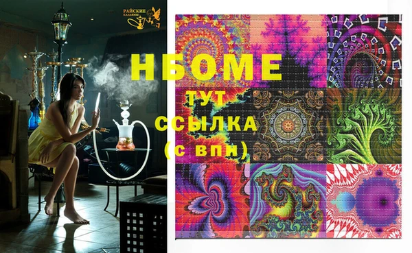 ECSTASY Алзамай