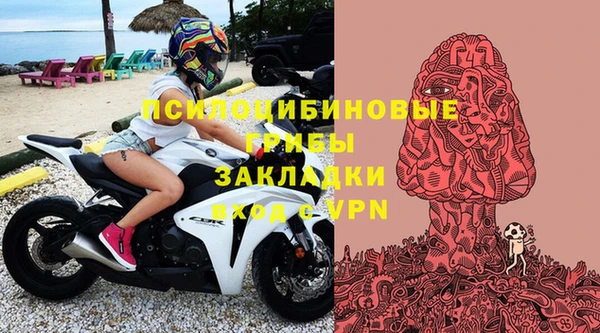 эйфоретик Алексеевка